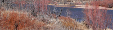 Rio Grande